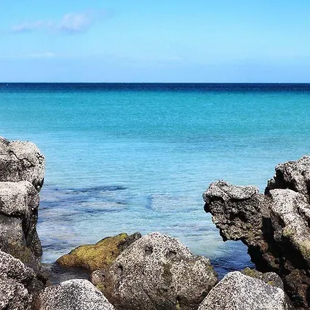 Fuerteventura Case Vacanze 아파트 라 올리바